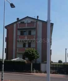 immagine annuncio 0 di 15