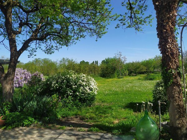 appartamento in vendita a Montechiarugolo in zona Basilicanova