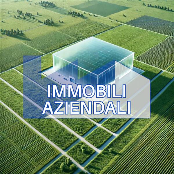 terreno agricolo in vendita a Montechiarugolo in zona Basilicagoiano