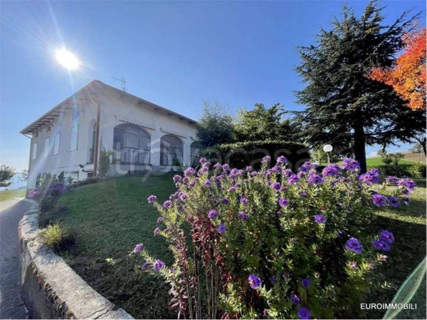 immagine annuncio 0 di 15