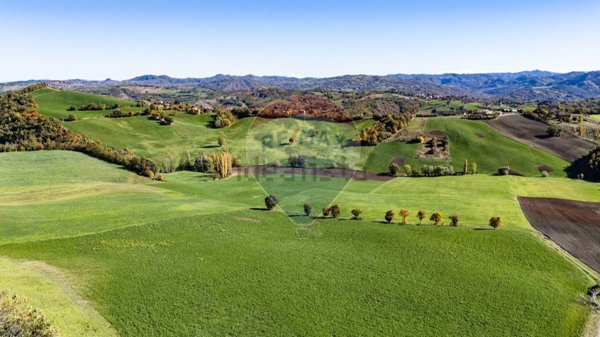 azienda agricola in vendita a Neviano degli Arduini