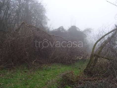 casa indipendente in vendita a Neviano degli Arduini