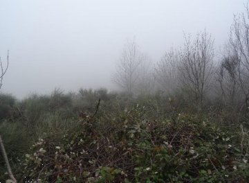 casa indipendente in vendita a Neviano degli Arduini