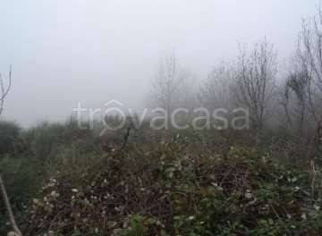 casa indipendente in vendita a Neviano degli Arduini