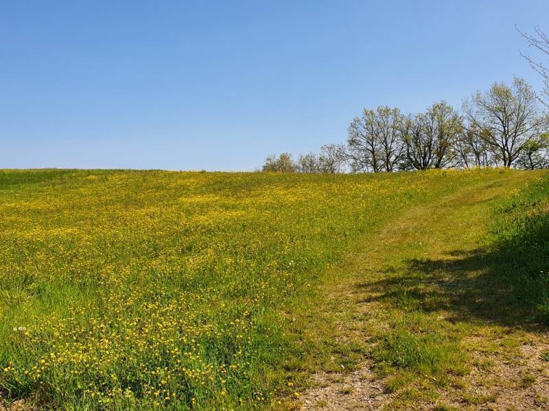 terreno edificabile in vendita a Neviano degli Arduini in zona Bazzano