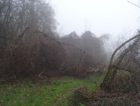 casa indipendente in vendita a Neviano degli Arduini
