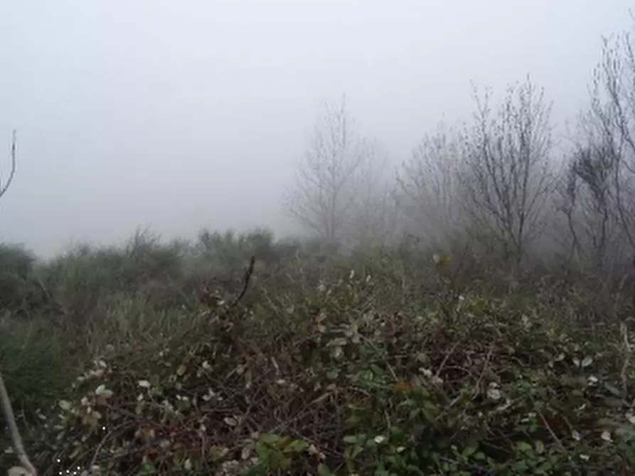 casa indipendente in vendita a Neviano degli Arduini