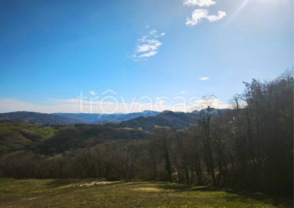 terreno agricolo in vendita a Neviano degli Arduini in zona Lupazzano
