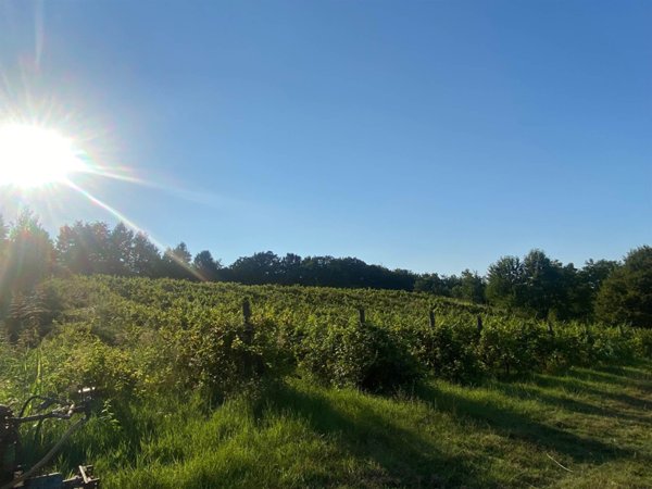 appartamento in vendita a Noceto in zona Costa Mezzana