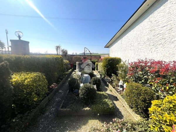 terreno agricolo in vendita a Noceto