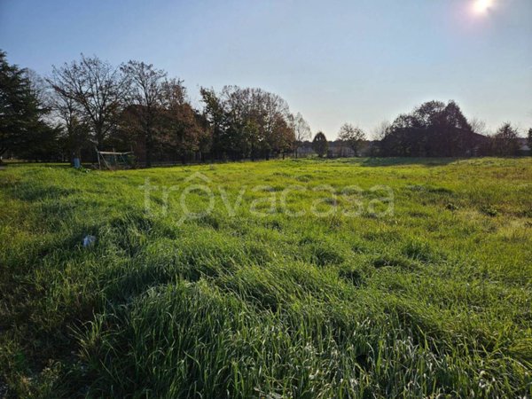 terreno agricolo in vendita a Noceto
