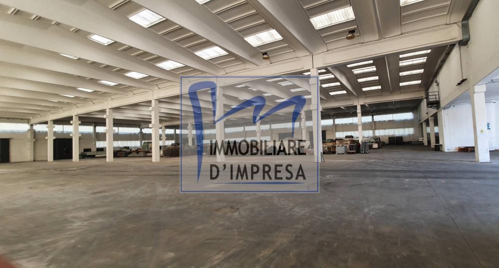 immagine annuncio 0 di 5