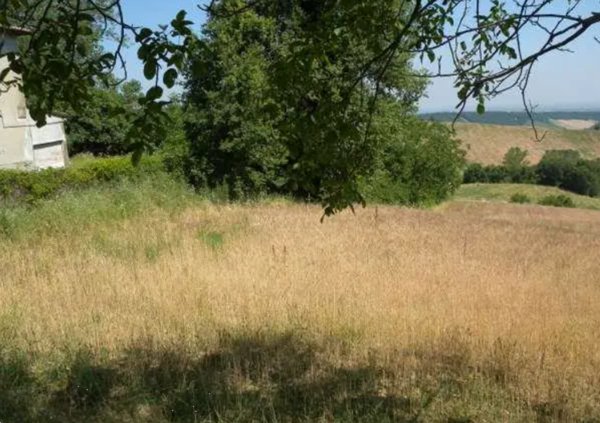 terreno agricolo in vendita a Noceto