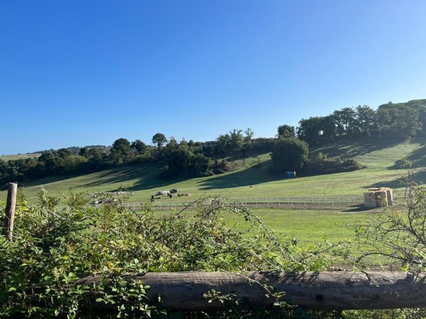 terreno in vendita a Noceto