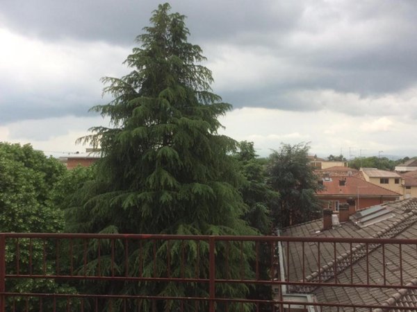 appartamento in vendita a Parma in zona Cittadella