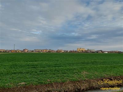 terreno agricolo in vendita a Parma in zona Vicofertile