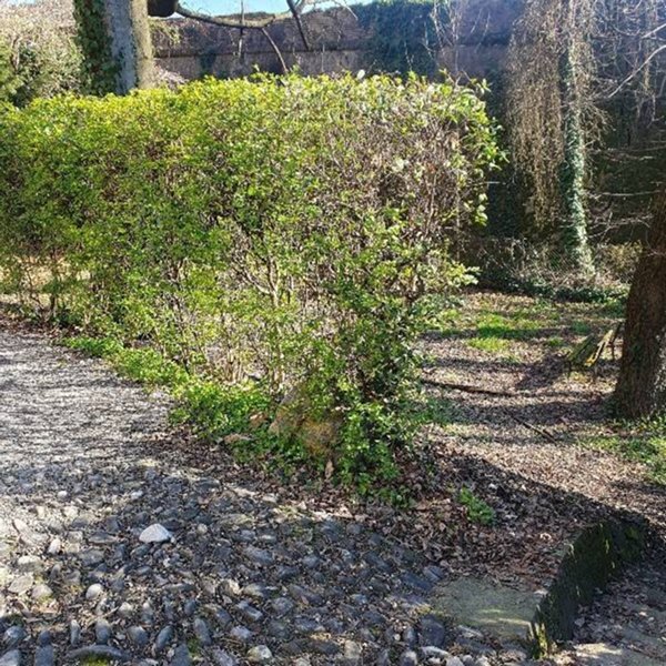 appartamento in vendita a Parma in zona Cittadella