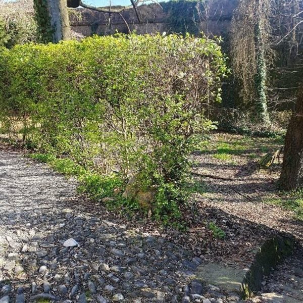 appartamento in vendita a Parma in zona Cittadella