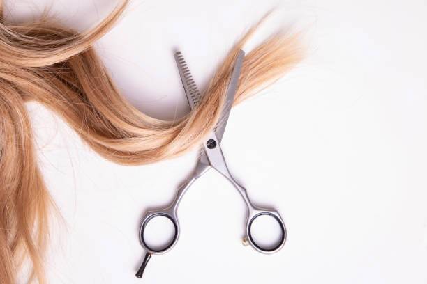 negozio in vendita a Parma in zona Pablo