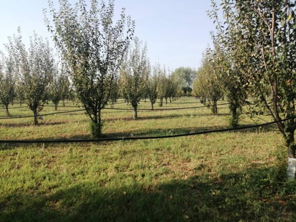 terreno agricolo in vendita a Parma in zona Baganzola