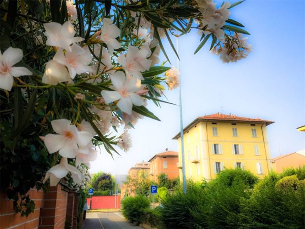 appartamento in vendita a Parma in zona San Martino / Paradigna