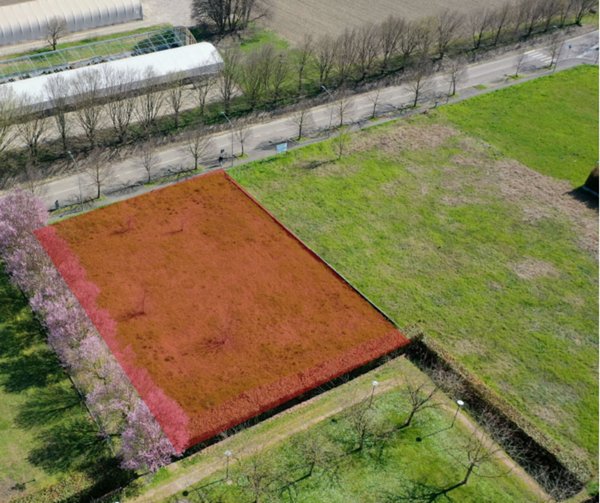 casa indipendente in vendita a Parma in zona Vicomero