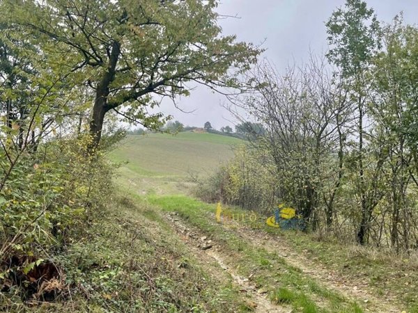 terreno agricolo in vendita a Parma