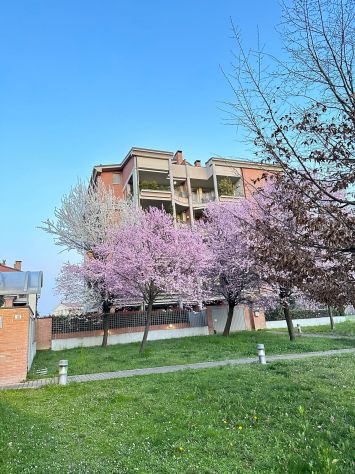 appartamento in vendita a Parma