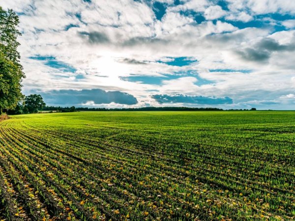 terreno agricolo in vendita a Parma in zona San Prospero