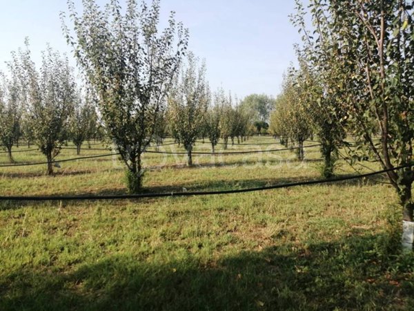terreno agricolo in vendita a Parma in zona San Pancrazio