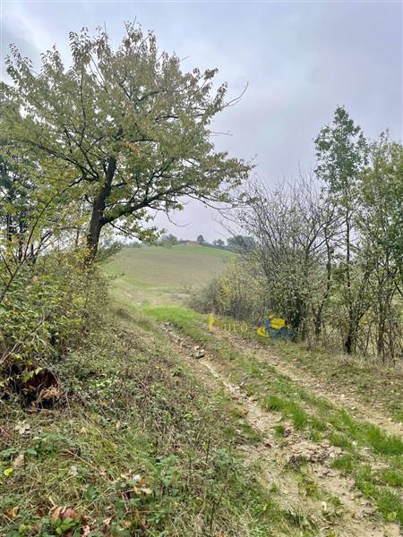 terreno agricolo in vendita a Parma