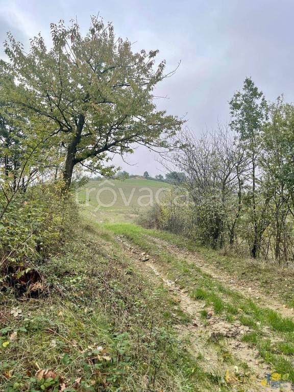 terreno agricolo in vendita a Parma in zona Centro Storico