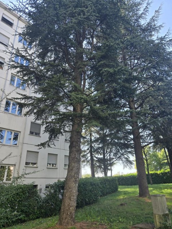 appartamento in vendita a Parma in zona Montanara