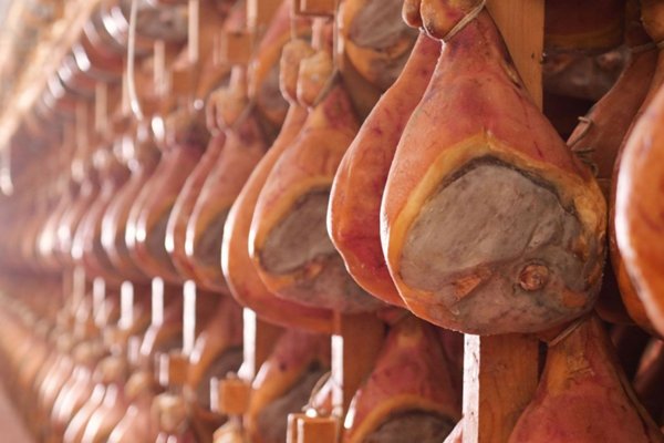 negozio in vendita a Parma