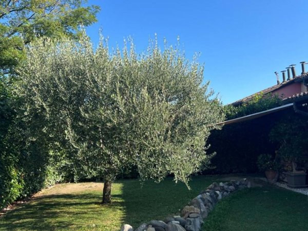 casa indipendente in vendita a Parma in zona Vicofertile
