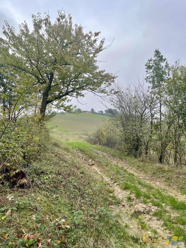 terreno agricolo in vendita a Parma in zona Centro Storico