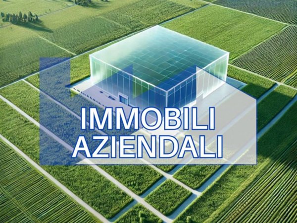 terreno agricolo in vendita a Parma in zona San Martino / Paradigna