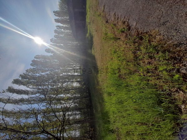 casa indipendente in vendita a Parma in zona Fognano