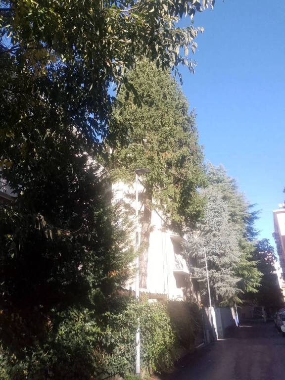 appartamento in vendita a Parma in zona Lubiana