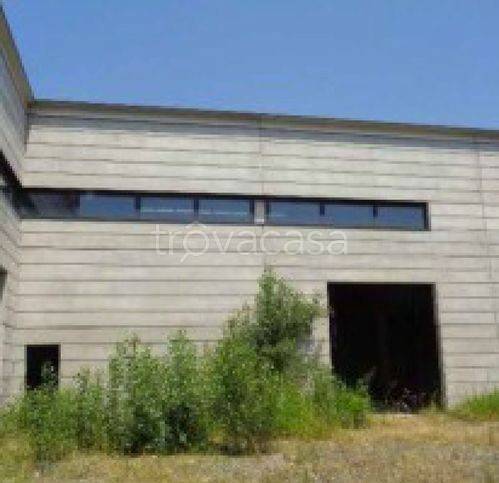 terreno edificabile in vendita a Parma in zona San Martino / Paradigna