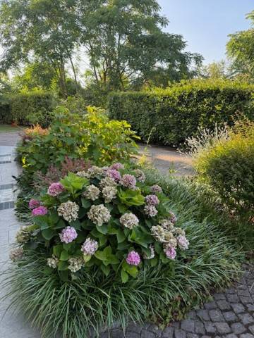 casa indipendente in vendita a Parma in zona Pilastrello