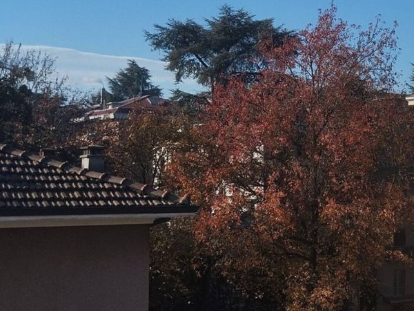 appartamento in vendita a Parma in zona Cittadella