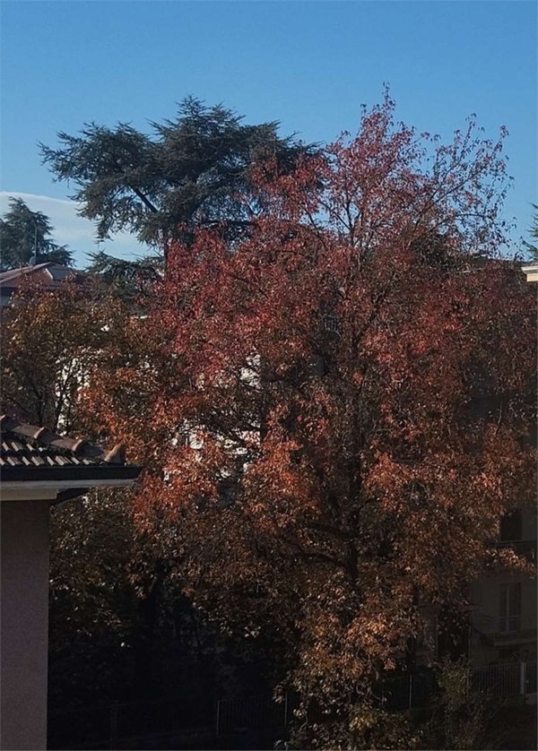 appartamento in vendita a Parma in zona Cittadella