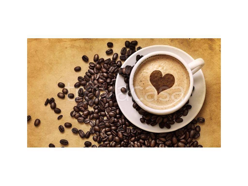 negozio in vendita a Parma in zona Centro Storico