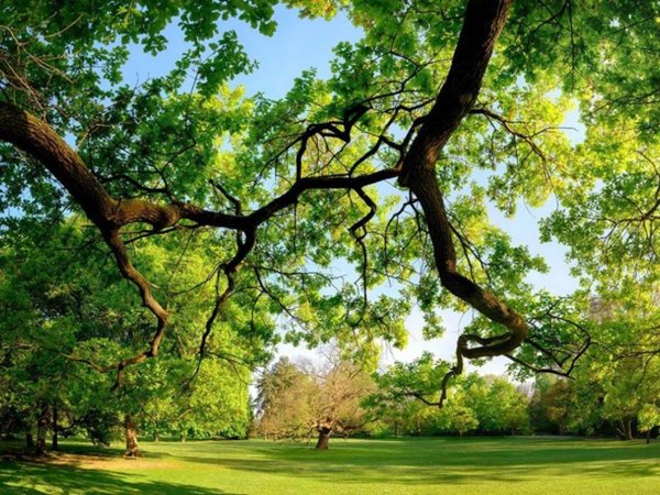 appartamento in vendita a Parma in zona Cittadella