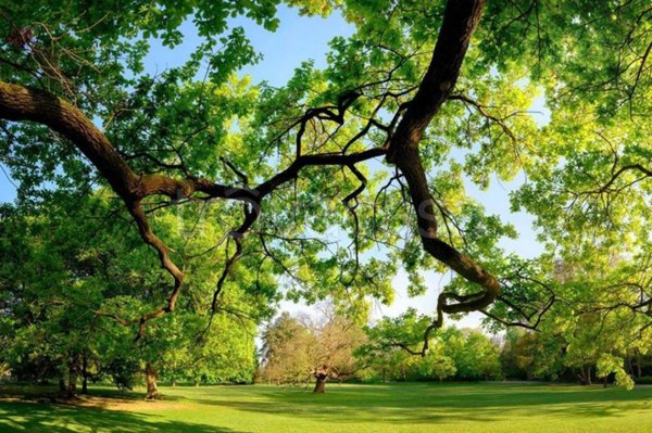 appartamento in vendita a Parma in zona Cittadella