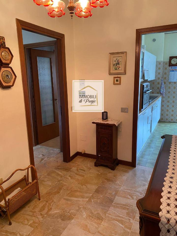 immagine annuncio 0 di 15