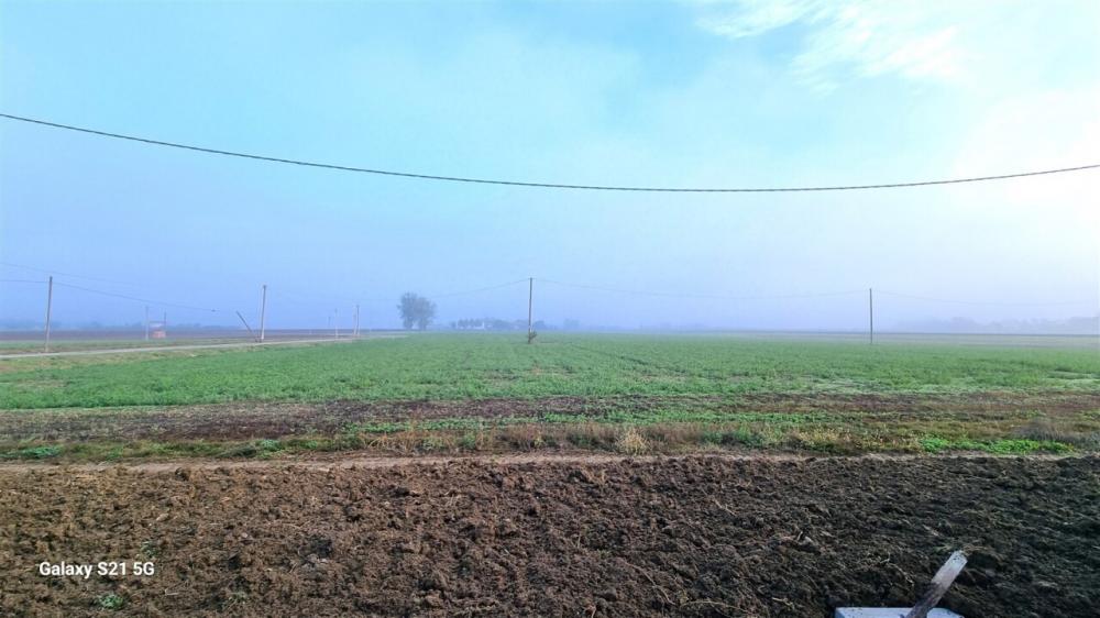 casa indipendente in vendita a Parma