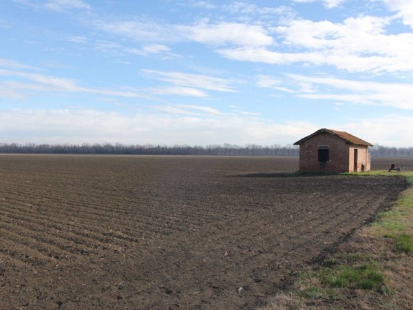 terreno agricolo in vendita a Parma in zona Panocchia