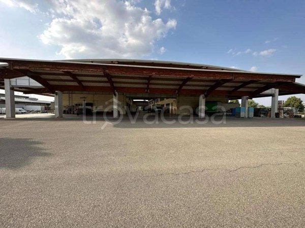 immagine annuncio 0 di 14